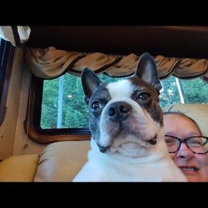 Meet your Posher, Rita